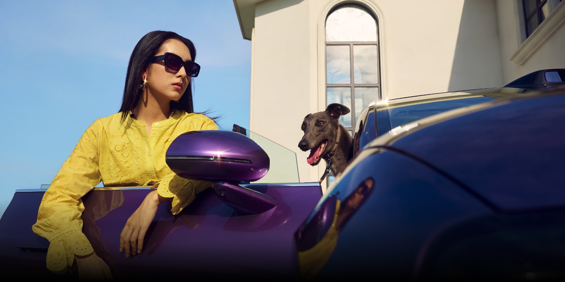 家人与宠物在智界 R7 车内，展示其安全性能 